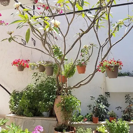 Aparthotel Kalypso