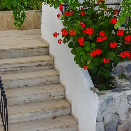 Aparthotel Kalypso 2*